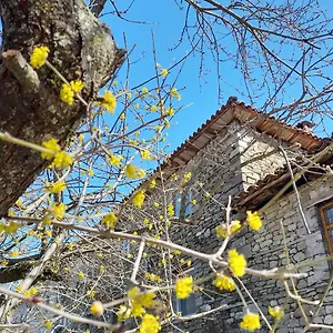 Maison d'hôtes Bujtina Tusha, Priska e Madhe